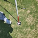 샷이글스크린골프