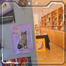참사랑서점 | 영등포 독립서점, 새고서림! 고양이 천국 귀여운 24시간 무인 독립서점 후기