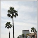 제주흑돼지생고기전문점 이미지