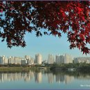 서호공원 이미지