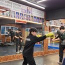 성현미트 네이버블로그
