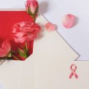 (주)바른손팬시