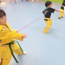경희대장하태권도