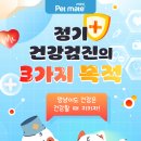 디엔씨 동물병원 이미지