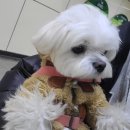 독립-16-02 이미지