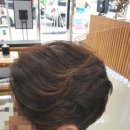 뜨니헤어