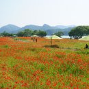 새들의 정원 이미지