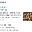 이제 한국남성 비유 고추(×) 초고(총각)버섯(o) 이미지