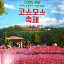 코스모스길14번길 이미지