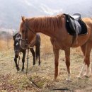 현주슈퍼 이미지