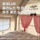 붉은노을 | [포레니아 올리노스 첫 피칭] 무주 붉은노을 캠핑장 우중 캠핑 후기