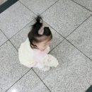 다이소주안시민