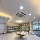 노이펫 강아지 고양이분양 춘천점 이미지