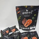 국개대표 올바른끼니 플러스, 기호성좋은강아지사료 멍구 먹방 후기