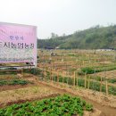 안산농장 이미지