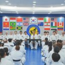 국제 태권도장 이미지