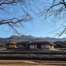 영의정기사식당 | 안동기차여행 당일치기 안동시티투어버스