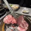 미테리언육식주의자