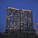 서울콜렉터