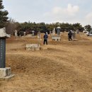 박충원묘 이미지