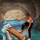 [Activity] 로토루아 3D Art Gallery + Taupo Huka Falls +Taupo DeBretts Hot Springs 다녀와요 이미지