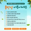 홍반장더투어제주