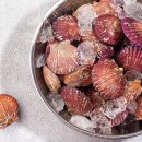 비안도수산 이미지