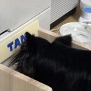 더펫샵(압량점) 이미지