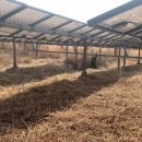 무성햇빛발전소 이미지