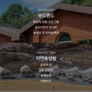 숲 펜션&캠핌장 이미지