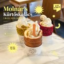 빵's라면 | 부다페스트 굴뚝빵 맛집 Molnár's Kürtőskalács 라즈베리 아이스크림 굴뚝빵 솔직 후기!