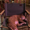 소낭 게스트하우스 이미지