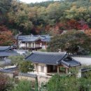 협동조합 오늘 이미지