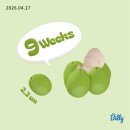 다해피데이(dahappyday) | 9주차 계류유산 소파술 | 서초함춘 습관성 유산 검사 후기