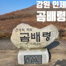 강원 인제 점봉산산림생태관리센터 곰배령 예약 등산 최단 코스 주차