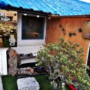 강남로1길 이미지