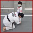 튼튼태권도체육관 이미지