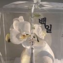 우잉케이크