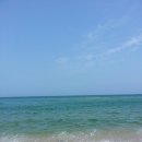 동해바다 이미지