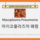 "mycoplasma pneumonia 마이코플라스마 폐렴" / 독감 / 감기 / 기침 이미지