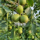 선행농원 이미지