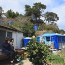 세라네텃밭 네이버블로그