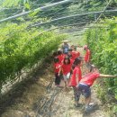 광제산영농조합법인 이미지