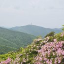 제378회 소백산철쭉산행 5월17일 (셋째일요일) 이미지