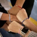 건수농장 | [호주워홀8,9] 외노자의 삶 그 자체였던 1,2월 요약…