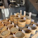 PC & coffee | 2026 일본 구마모토 시내 카페 추천 3곳 #CoffeeGallery #Andcoffee #Kyoeido