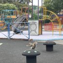 더블린 | 아일랜드 더블린 여행 후기