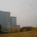 아산병원 이미지