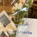 미즈아인산부인과의원 이미지