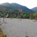 충효테마관광농원야영장 이미지